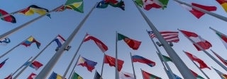 A large number of flags on flagpoles, viewed from below against a sky