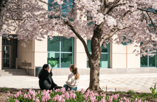 Two students sit under a cherry tree in bloom next to the Annenberg School for Communication