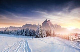 a snowy path near a forest at sunset