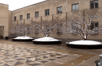 view of the right part of the front of Annenberg School with patterned ground tiles and trees covered in snow